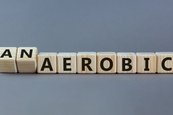 Aerobic Training