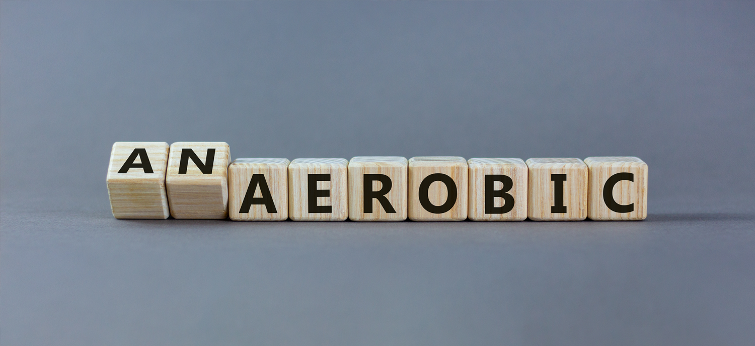 Aerobic Training